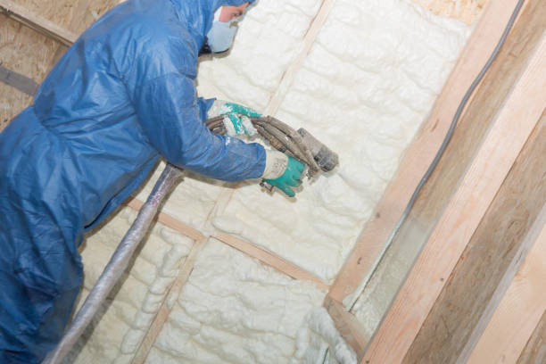 Best Insulation for New Construction  in Westlake, TX