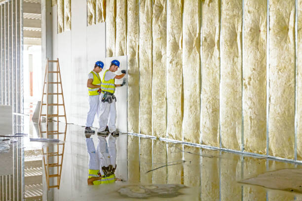 Best Crawl Space Insulation  in Westlake, TX