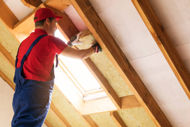 Best Blown-In Insulation  in Westlake, TX